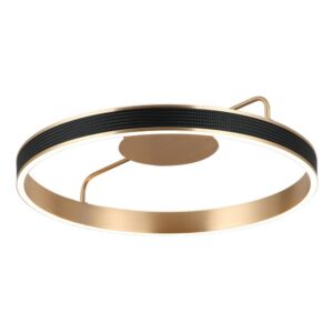 LED plafonska lampa F2088-46C GD