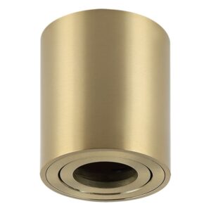 Plafonska lampa AFS114-1C SG