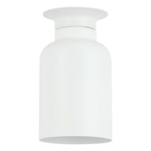 Plafonska lampa FK7035-1C WH