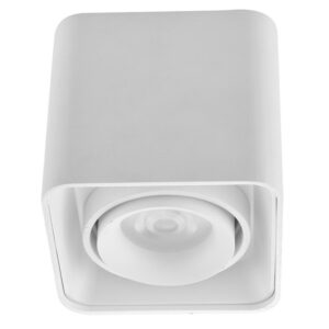 Plafonska lampa AFS108-1C WH