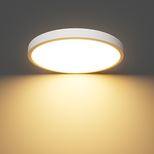 Bela okrugla LED plafonjera 24W 3CCT M205762